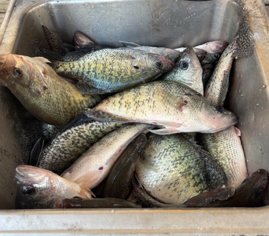 Things To Do Dean's Guide Service 